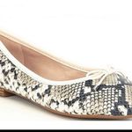 Gianni Bini New Marietta Ballet flat Photo 1