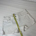 Monteau Paige White Mid Rise Shorts Size 32 & Dotted Ruffled Tiered Top Size XL Photo 10