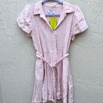 Alexis Dress Pink Striped Photo 0