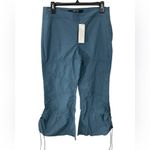 Silence + Noise NWT Urban Outfitters Hayley Crop Flutter Kick-Flare Pant Size 6 Photo 1