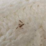 White faux fur beanie snow winter fall hat eskimo, ice princess vibes Photo 6