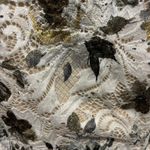 Marée Pour Toi Women's Strapless Lace Floral Corset Top Size 12 NEW White Photo 3