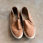 Source Unknown Tan Slip Photo 0