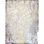 1. State  dress Size Medium Photo 4