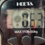 Coral Bay Y2K Golf Shorts 12 Beige Embroidered High Rise Country Club Resort Tan Photo 11