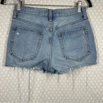 Free People We The Free Loose Sofia Distressed Shorts Photo 5