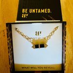 Bomb Party Untamed Necklace “Whispered Growl” lab Black Onyx/CZ on Gold Plating. Photo 0
