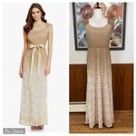 Nightway Pretty New NW Ombre Lace Mother of the Bride Gown! Photo 1