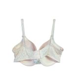 Laura Ashley  Pastel Peach Lace Bra Sz 40DD NWOT Photo 1