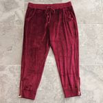 Michael Kors  Burgundy Plush Velvet Joggers Plus Size XXL NWT $88.00 Photo 2