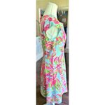 Lilly Pulitzer Briella Pink In The Vias Fit & Flare V-Neck Dress Sz M Tropical Photo 5