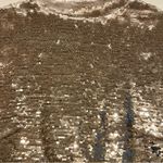 Ark & Co. Ark n co gold sequin top size M Photo 2