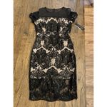 JAX Women's Sequined Lace Illusion Sheath Dress Black Size 12 Mesh Photo 1