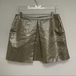 1. State  Mini Skirt Size Large Metallic A-line Dressy Holiday Cocktail Pleated Photo 8