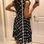 Adrianna Papell Gorgeous Navy and White Polka Dot Tea Dress with pleated skirt. Photo 4
