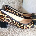 Michael Kors Brown and Black Heels with Leopard Print in Calf Hair.size 7.5 Photo 0