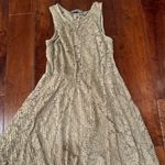 Finn and Clover Light Brown Lace Formal Dress Photo 0