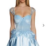 Dolls Kill Cinderella Costume Photo 0