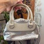 Emporio Armani  Silver & Cream Python Leather Top Zip Mini Bag Photo 2