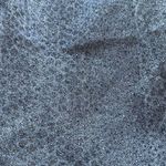 Per Se  snake print jeans Photo 9