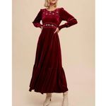 In Loom  velvet castlecore long sleeve maxi dress Photo 1