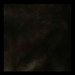 Bill Blass Blassport 2 sided faux fur/ faux leather vest L Photo 8