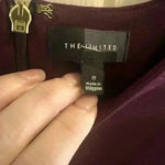 The Limited  dress Photo 4