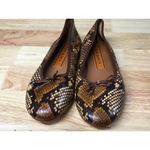 Tory Burch Ballets Flats Women's 9 M Brown Leather Snake Skin Slip-On Round Toe Photo 0