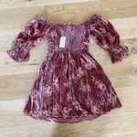 Hutch Leland Bohemian Velvet Burnout Mini Dress in Cinnamon Photo 2