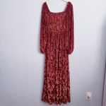 Baltic Born Aurora Velvet Clove And Cooper Floral Velvet Maxi Dress Photo 5