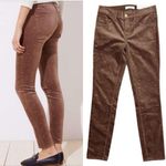 Loft NWT Polka Dot Velvet Skinny Jeans Pants Size 25 Brown and Metallic Gold Photo 1