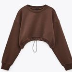 ZARA Brown Cropped Sweatshirt Photo 2