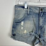 Wildfox Michelle Boyfriend Short in Secret Wash Photo 3