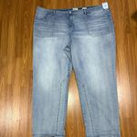 LOGO By Lori Goldstein NWT  Plus Boyfriend Jeans Size 32WT.  Photo 1