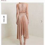 ALC Frank NWOT ALC pleated dress Photo 3