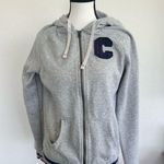 Champion Gray Zip-Up Hoodie with Navy Accents Photo 0