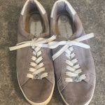 Michael Kors - Grey suede  sneakers Photo 0