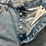 AGOLDE Denim Shorts Photo 1