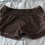 Zyia Black and Gray Athletic Shorts with Elastic Waistband Photo 0