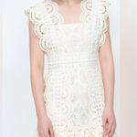 NWT Sea New York Laurel cream lace dress Size 0 Photo 3
