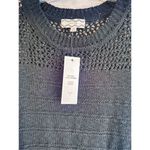 Pink Rose NWT  sweater  Photo 1