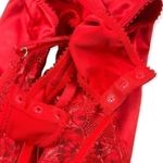 Savage X Fenty lingerie Photo 4