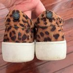 Steve Madden Tennis Shoes Photo 2