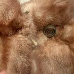Luxury Custom Made Genuine Fur Light Brown Mink Coat, Buckle String Need Fix Size L Photo 2