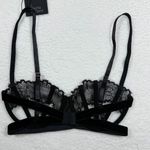 NWT Thistle & Spire Black Bra 32DD Sidney Open Cup Sexy Honeymoon Anniversary Size undefined Photo 4