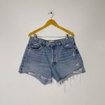 AGOLDE Parker Long Denim Shorts Swapmeet Size 31 Photo 1