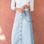 Soft Surroundings Light Blue Chambray A-Line Skirt Embroidered Pockets sz Large Photo 0
