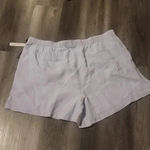 Tahari  LINEN LIGHT BLUE SHORTS SIZE 3X Photo 1
