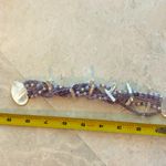 Beautiful Pearl & Amethyst Bracelet Purple Photo 2