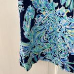 Lilly Pulitzer  Madia Tunic Dress High Tide Navy Scuba Doo White Green‎ Size XXS Photo 8